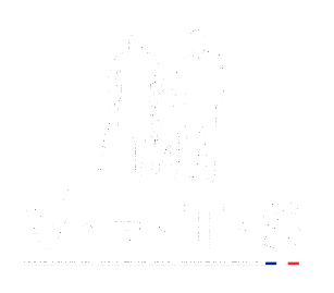 VETS Résilience - Logo